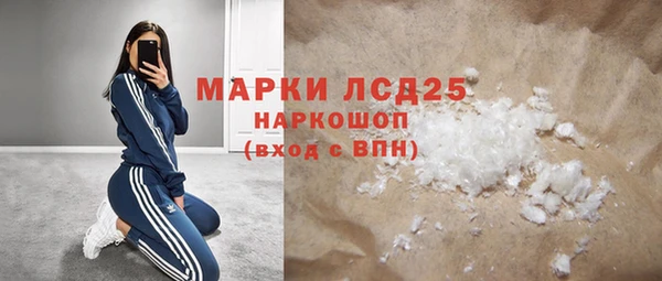 индика Ельня